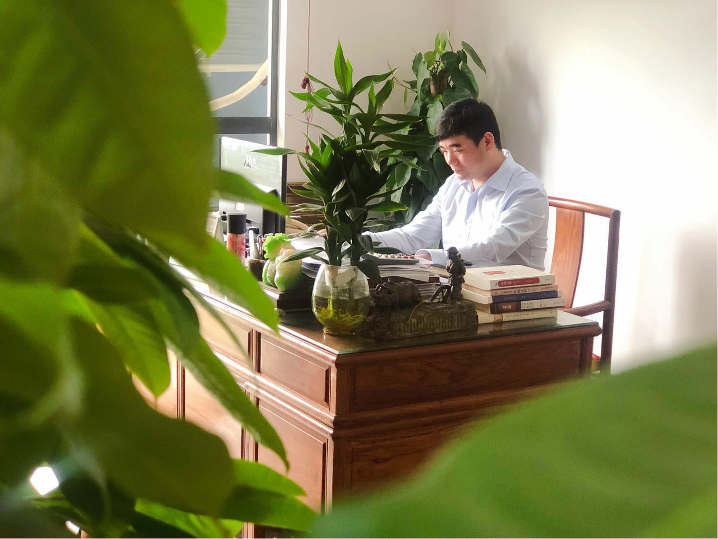 专访：广州佳薇园林绿化工程有限公司总经理许松”响应国家号召，为建设森林城市做贡献